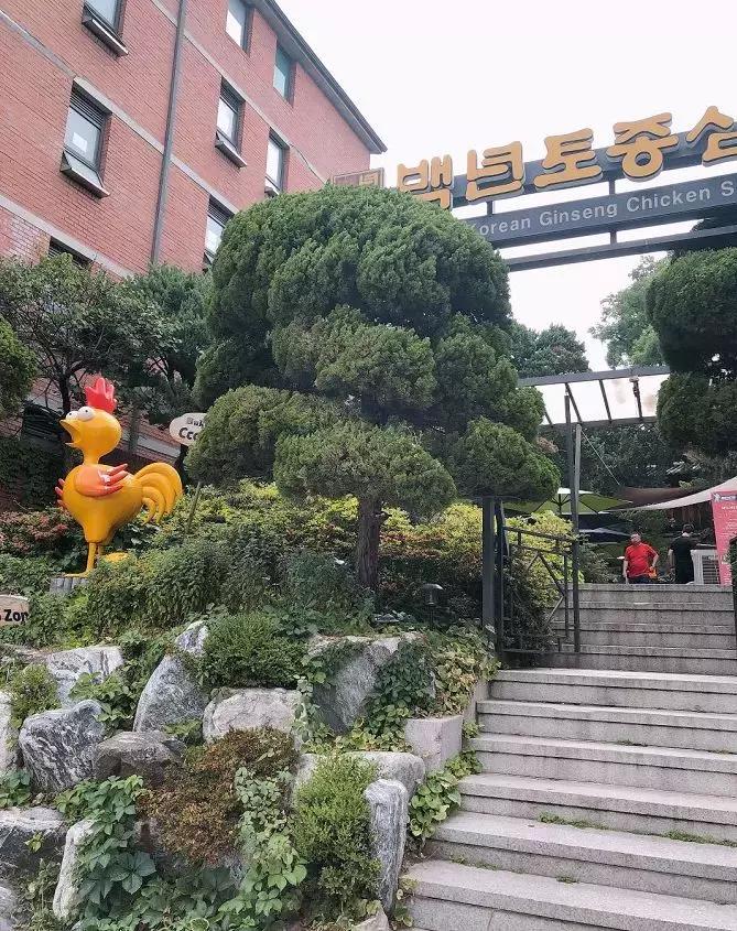 首尔游玩探店攻略,韩国首尔最好的店