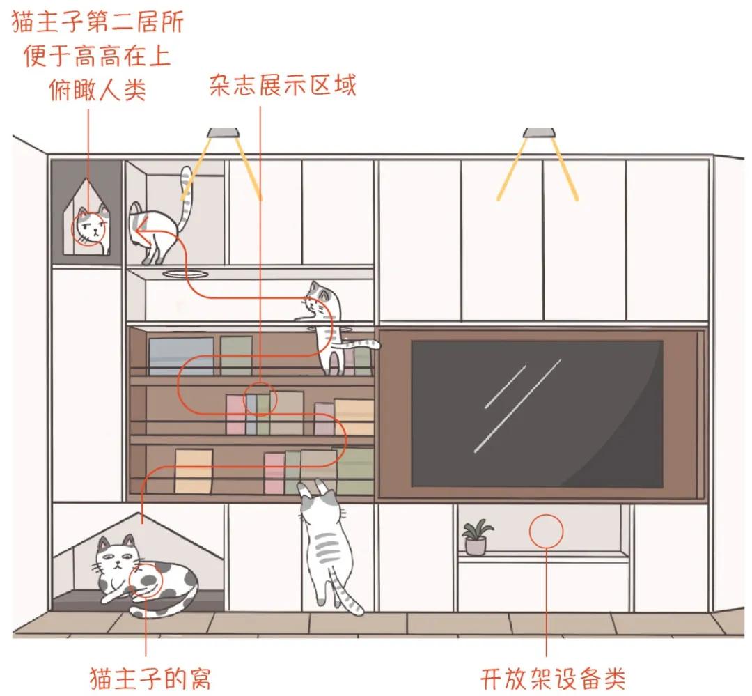 这家的电视柜既能收纳，也是喵星人乐园​