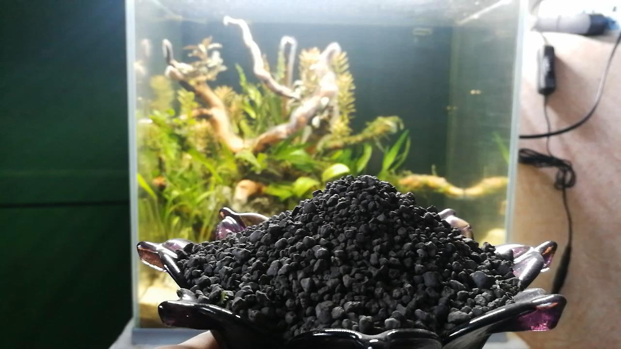 尼特利水草泥一年后能粉化吗,底砂过滤会加速水草泥粉化吗