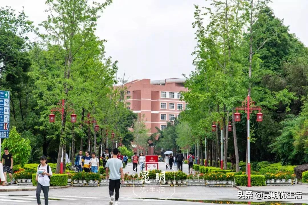 我眼中的云南财经大学,母校云南财经大学