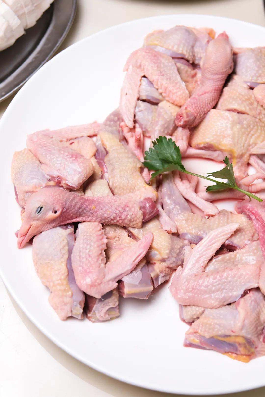 南海盐步老字号美食,南海盐步鸽