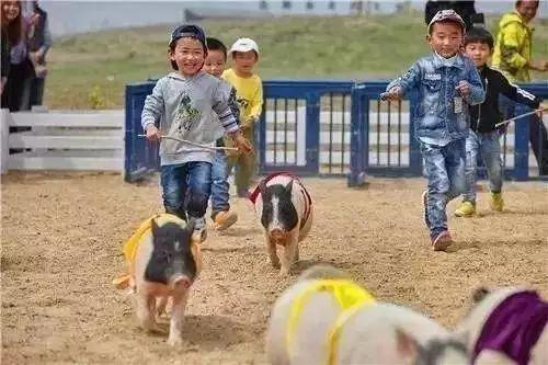 五一长假苏州亲子游推荐地,苏州暑假亲子游景点推荐