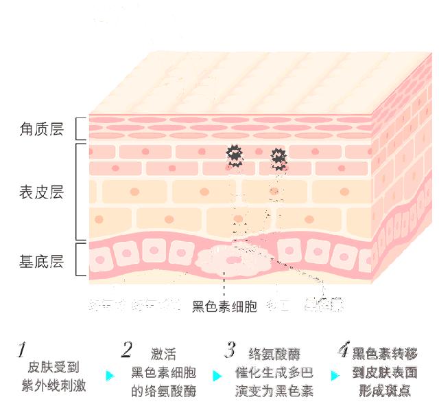 适合夏天好闻的沐浴露,夏季清爽不油腻留香沐浴露