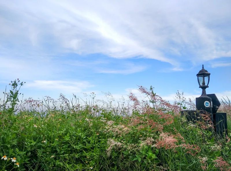 鐏北宀涙毚椋庨洦瑙嗛,鐏北宀涙毚椋庨洦