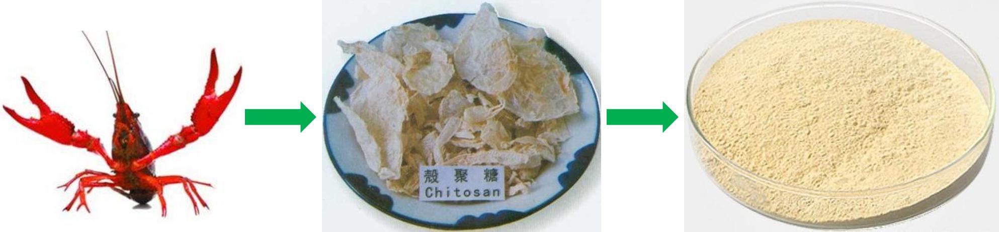 美食→生物材料|小龙虾→伤口敷料