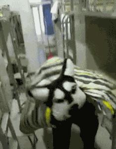 广东高中名校宿舍盘点,真实恐怖学校宿舍