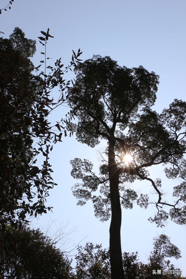 赣州峰山附近一日游自驾游景点,赣州峰山美景
