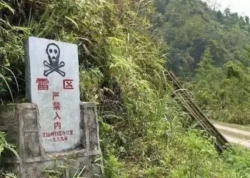 军礼的震撼瞬间,最动容的军礼