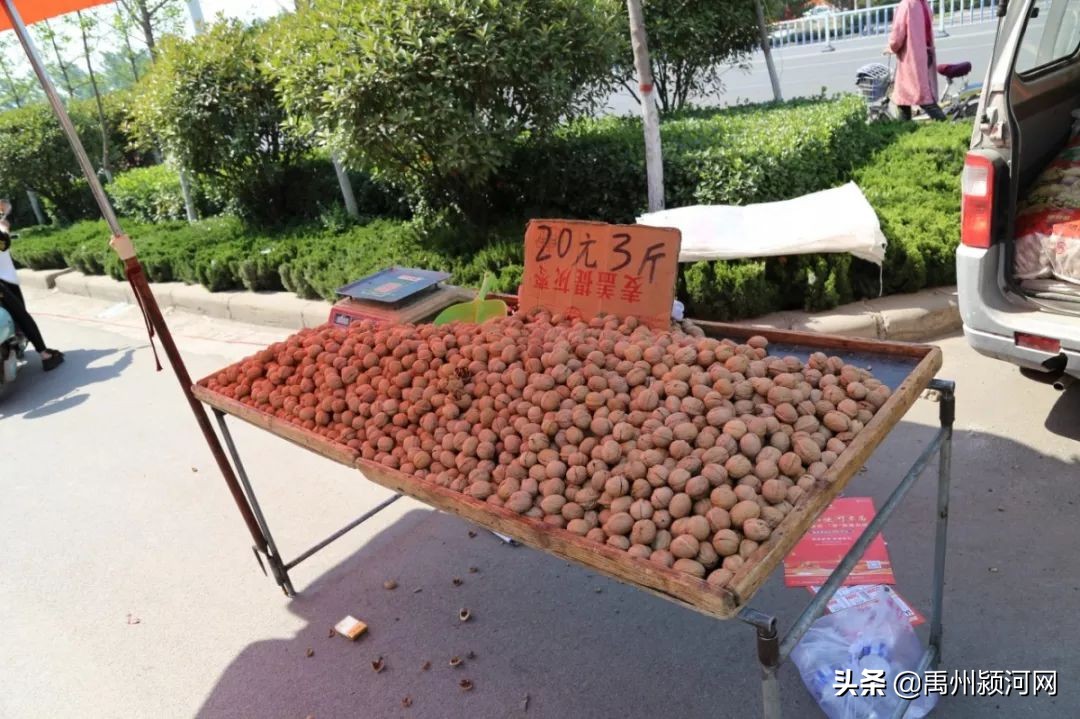 已经消失的乡镇,禹州各个乡镇