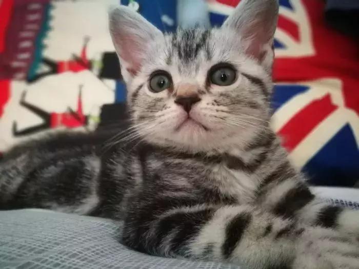 北京南锣鼓巷东一公里打卡地,北京南锣鼓巷旅游攻略必玩的景点