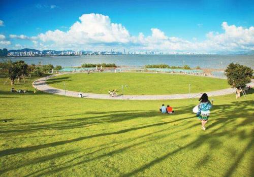 深圳市新开的公园,深圳新开放的公园有哪些