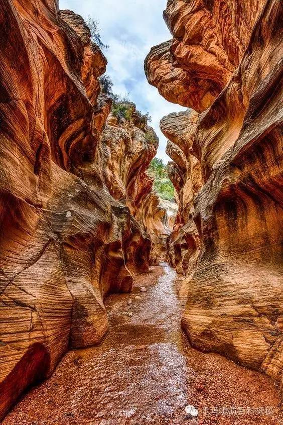 鬼斧神工地质遗珍视频,鬼斧神工的地质