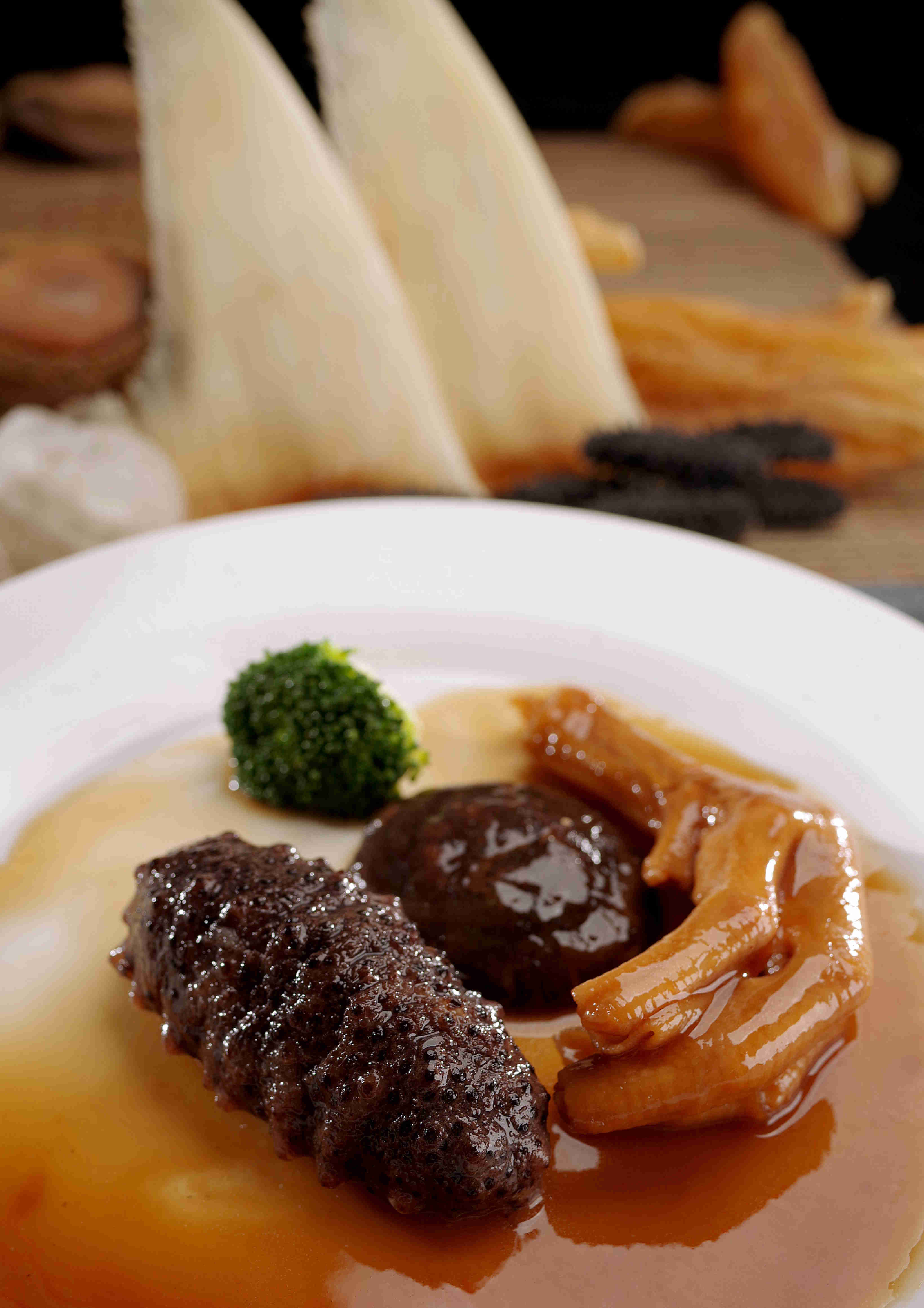 海参百科,海参科普