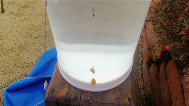 如果你还不会转球三步诀窍请收下,如果你还不会排版怎么办