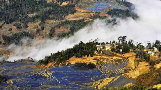 名山普洱茶哪种好喝,云南名山古树普洱茶