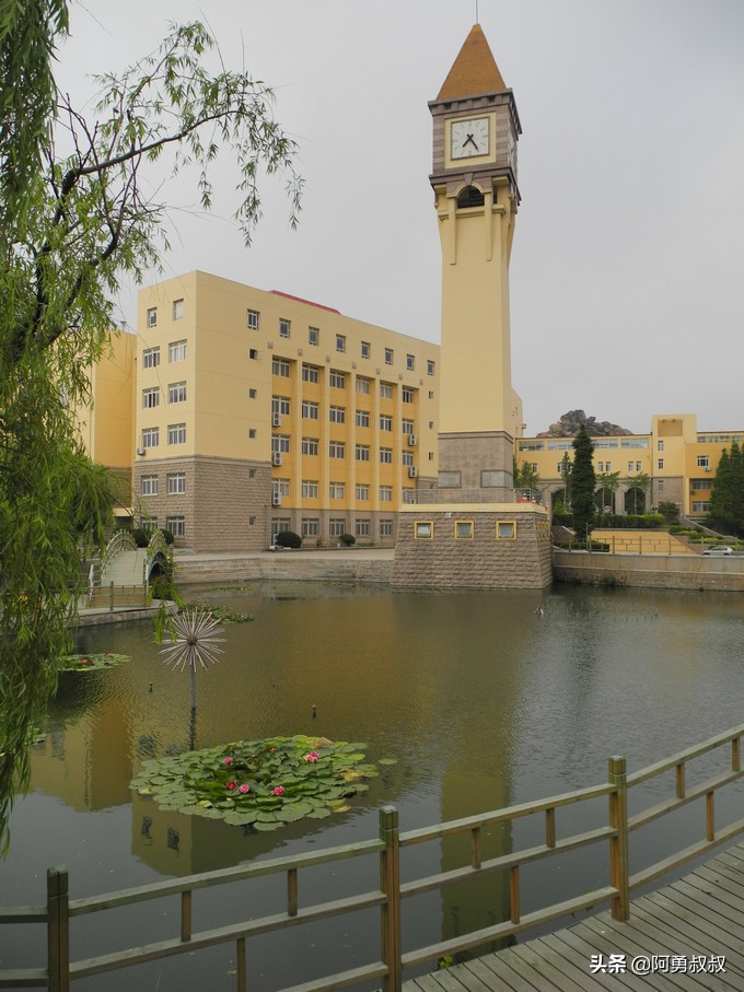 经验分享百强榜,青岛二中顶尖学子