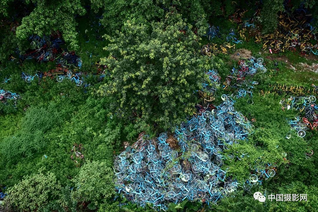 第七届全国摄影十杰获奖者,中国摄影年度人物排名