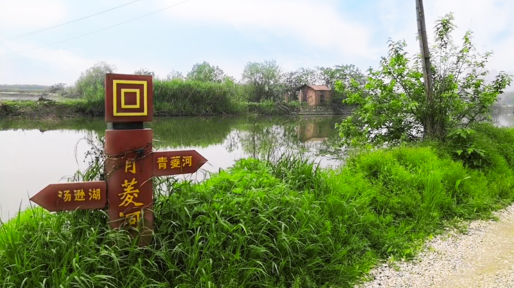 武汉江夏区汤逊湖湿地公园,江夏汤逊湖美景