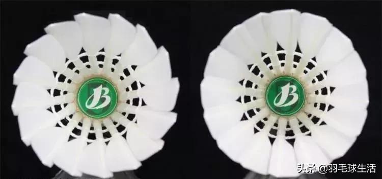 羽毛球初学者实战实用战术和技巧,羽毛球拍选购要注意哪些问题