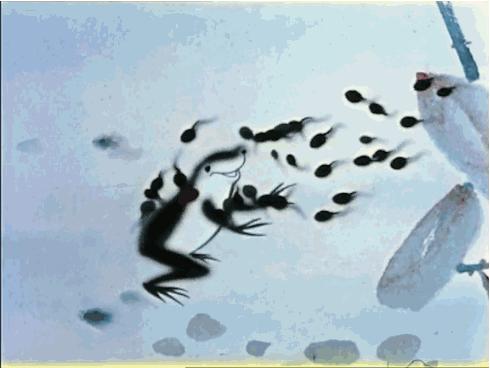 冬奥会宣传片齐天大圣,最新冬奥会宣传片