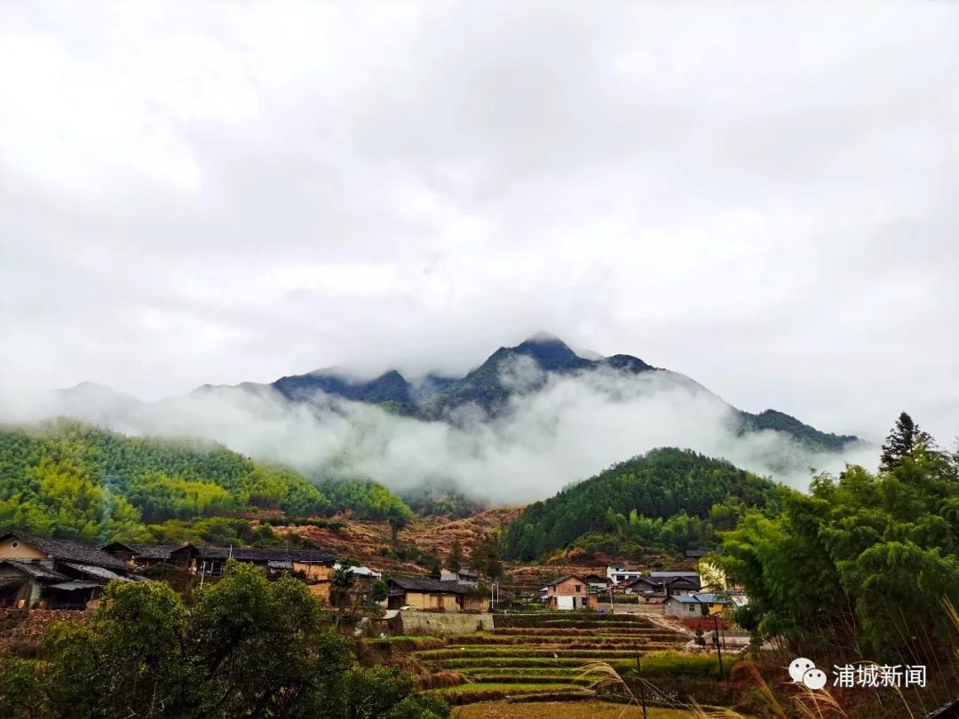 当“防疫”遇上“春耕”，浦城这个村的做法值得参考