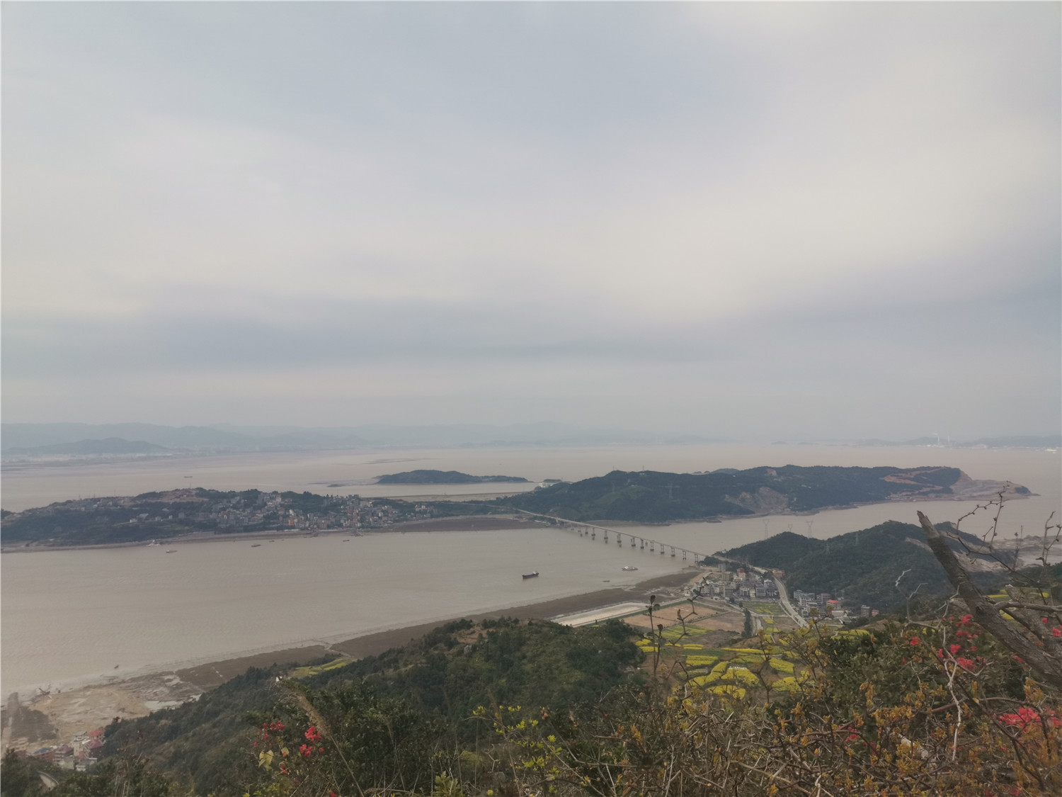 v20荣耀升级鸿蒙感受,荣耀v20升级鸿蒙2.0.0.165好不好