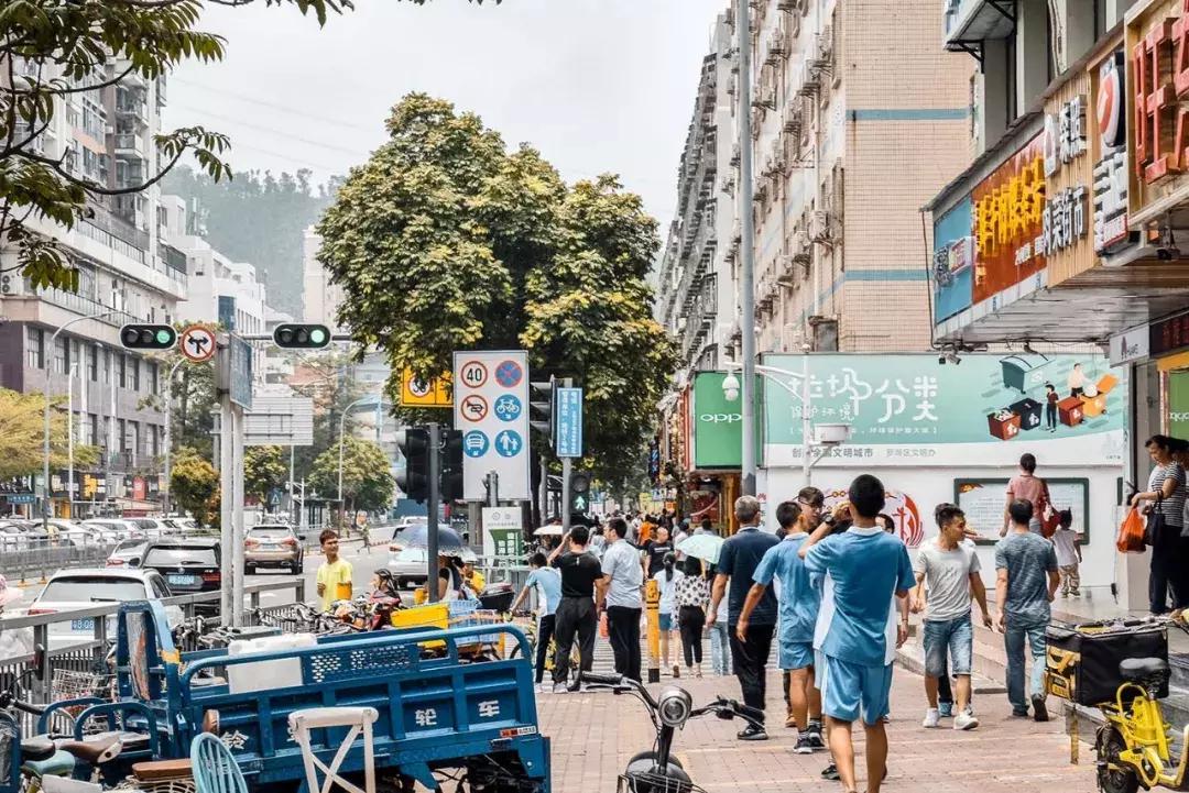 附近莲塘,附近的莲塘