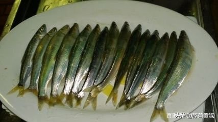 中国最大的内陆湖鱼,中国哪里湖的鱼最贵