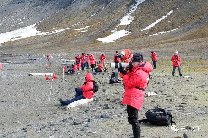 登陆巡游北冰洋—北极旅游见闻（5）