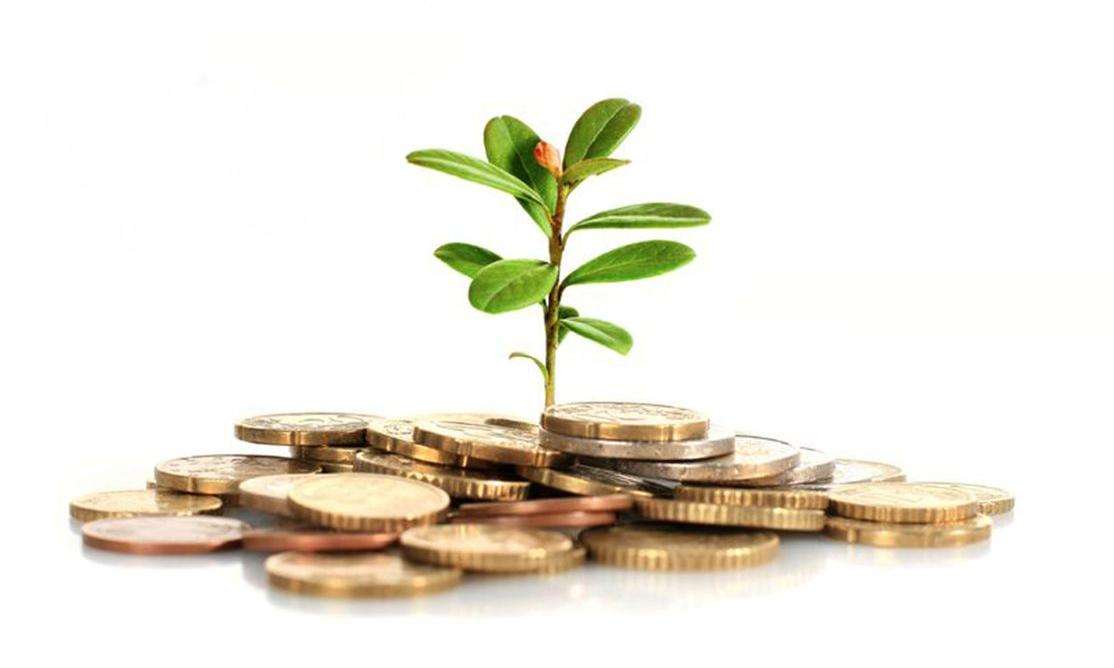 网上创业骗局,网上创业项目十大推荐