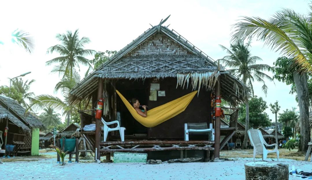 恋恋丽贝岛，人狗情未了|KohLipe