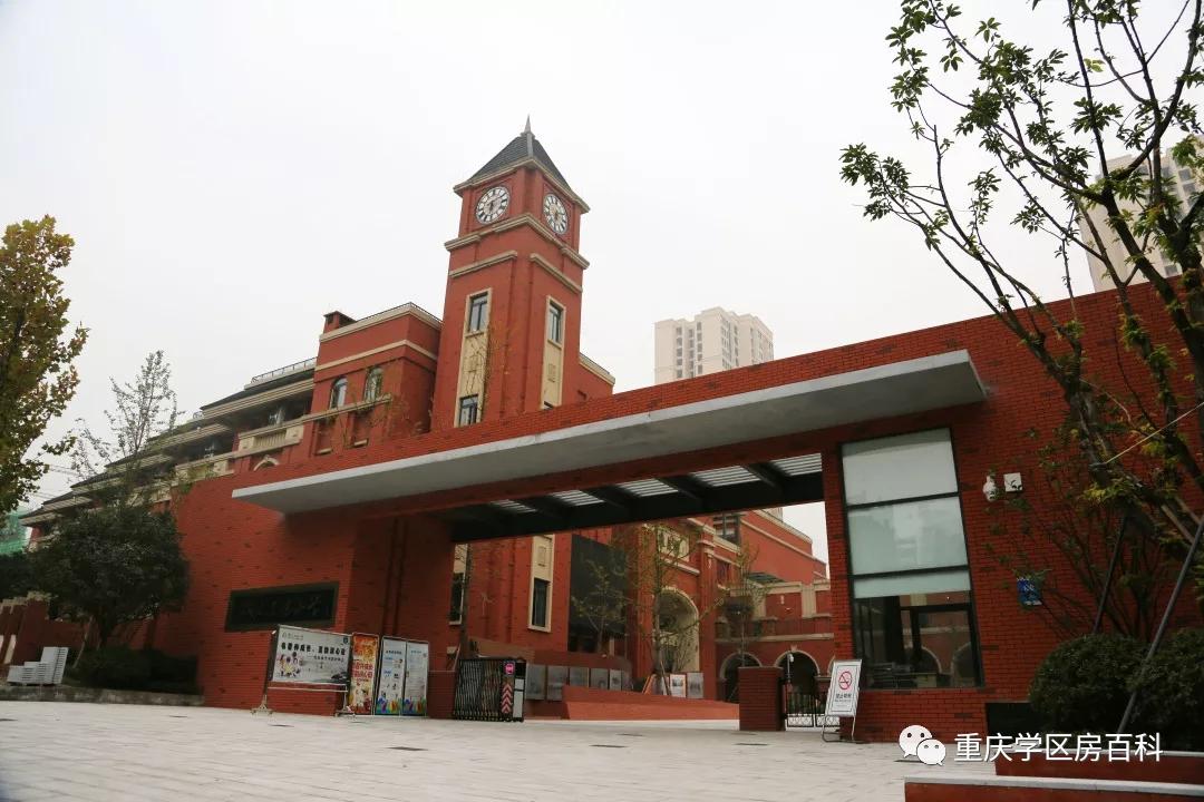 重庆树人小学分校有哪些,树人小学分校怎么样