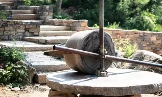 她给破败乡村动了个大手术，2年跨进“后现代”，艺术青年扎堆