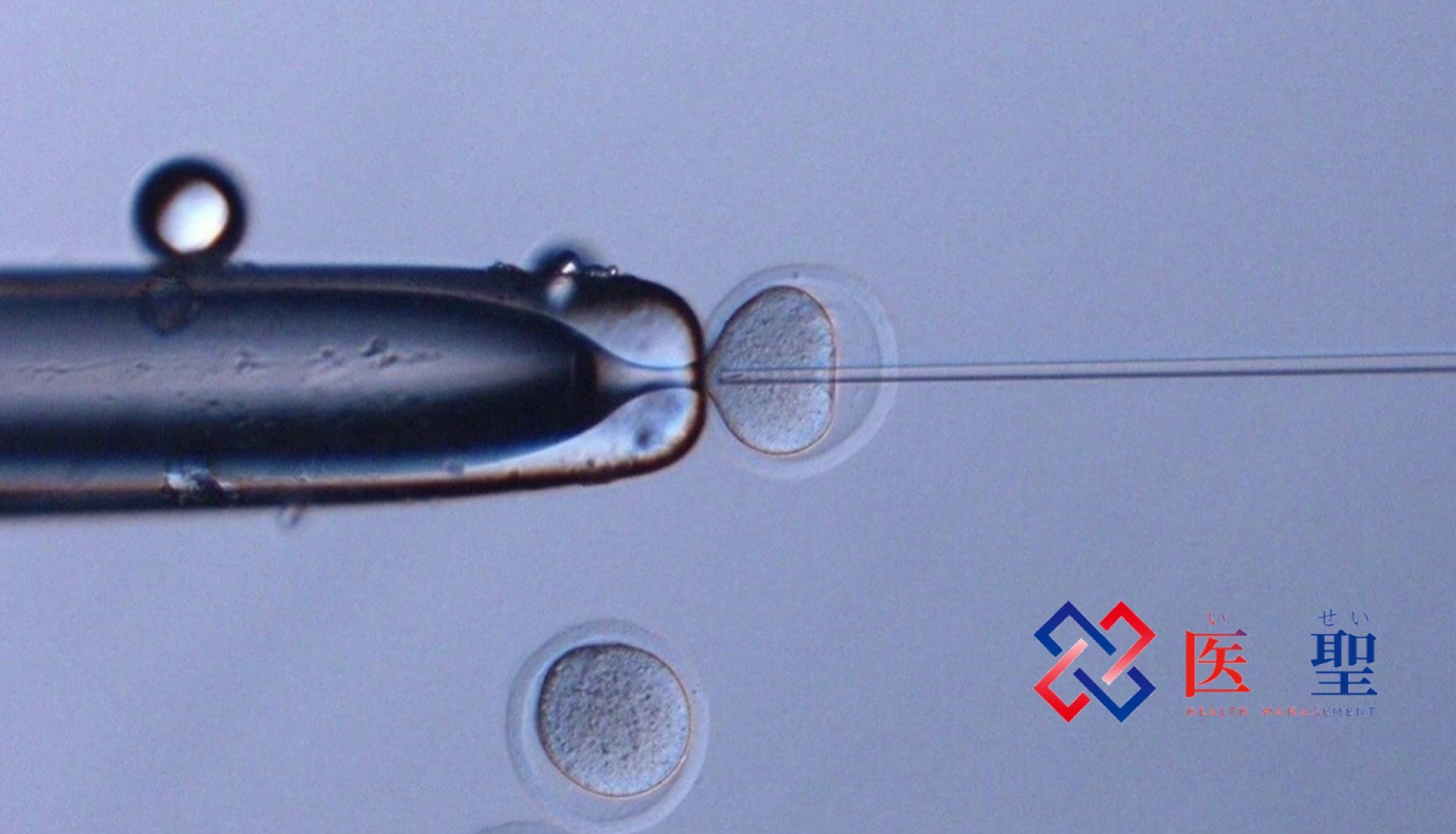 在宇宙中保存了6年的精子中诞生了健康的老鼠