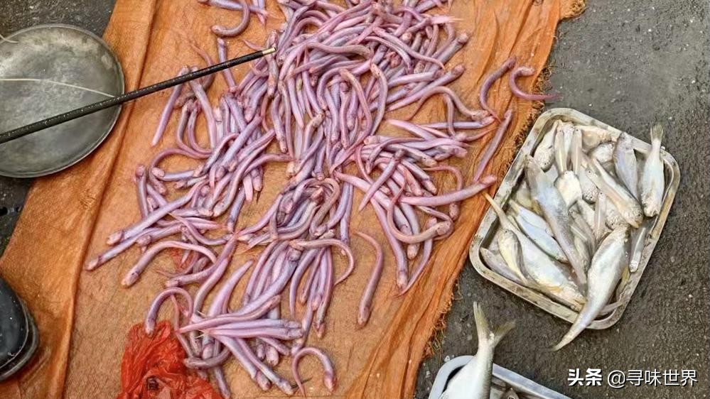 内行人买鱼,买鱼时内行人专买的5种鱼