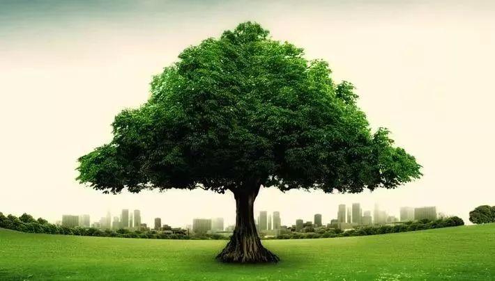 针灸学经脉循行速记,零基础学针灸十二经脉