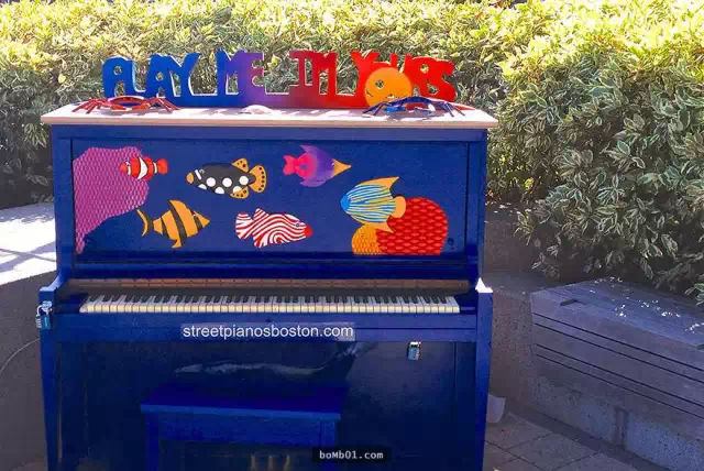 最有意境的照片关于钢琴,全球最美100张照片