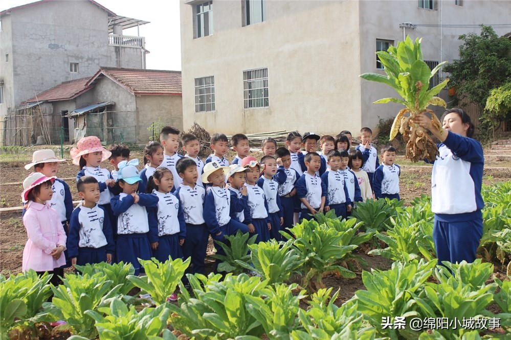 梓潼金太阳幼儿园基地,梓潼县金太阳幼儿园
