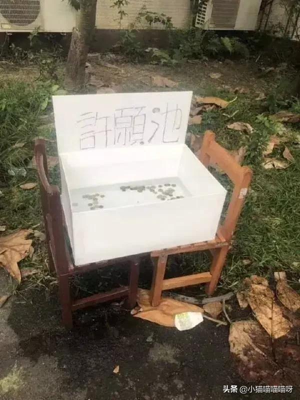 “为啥我大拇指侧面老长毛？”哈哈哈好家伙，你这还自带牙刷功能