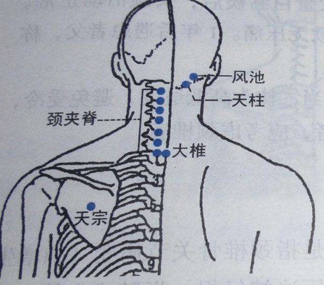 高效的记忆法,特定穴记忆口诀合集