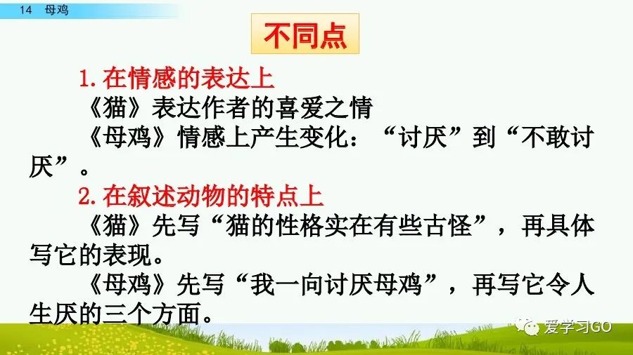 部编版四年级下册15课白鹅解析,部编版四下语文第13课母鸡预习