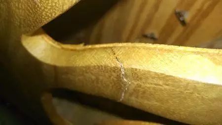 古筝背板开裂如何解决,古筝底板开裂修补方法