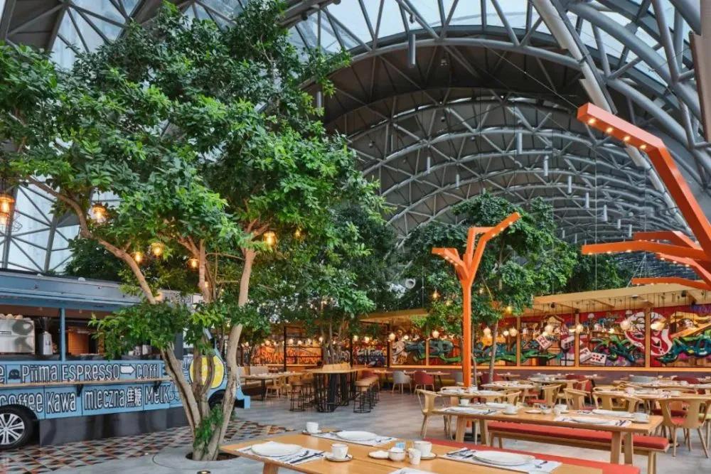 北方人来重庆吃火锅,来重庆吃火锅了吗