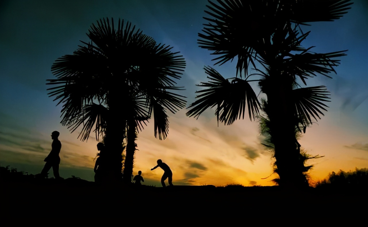 「第1期」2020年大美社群优秀作品回顾