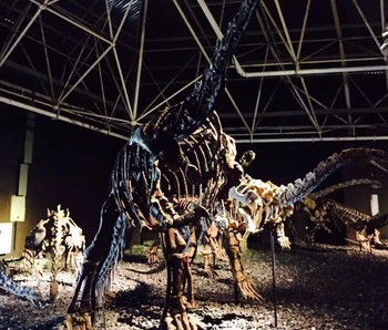 云南自驾游5天最佳路线旅游攻略,云南自驾游攻略5天