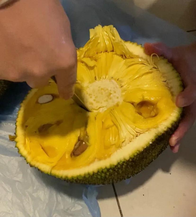 海南菠萝蜜正确打开方法,越南菠萝蜜怎么打开