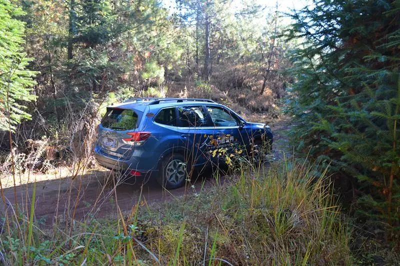 试驾全新一代森林人,森林人换代后感受