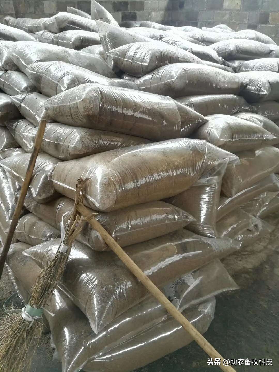 青草发酵饲料喂牛羊怎么发酵,发酵饲料技术配方