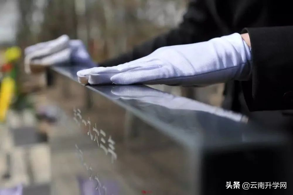 张雪峰十大冷门专业就业前景,北大清华冷门专业就业去向