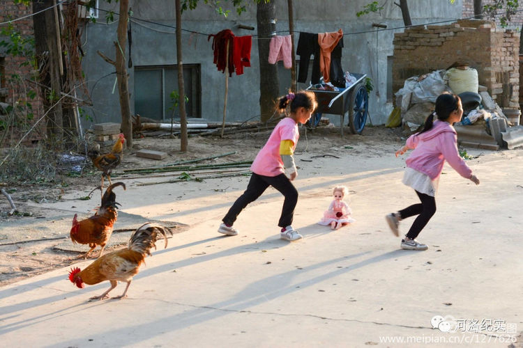 金色童年8张图片,金色的童年相片